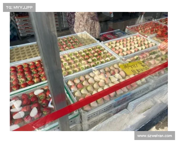 寻找毛毛豆的五大必备技巧助你轻松收获满篮美味豆荚 寻找毛毛豆的五大必备技巧助你轻松收获满篮美味豆荚