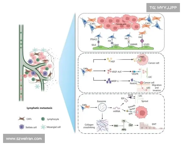 地下城与勇士强化系统的关键影响因素及其背后机制全面解析 地下城与勇士强化系统的关键影响因素及其背后机制全面解析