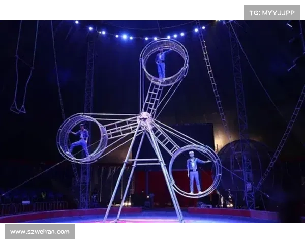 小丑巴基的疯狂旅程十大震撼瞬间揭示疯狂与黑暗的极限挑战