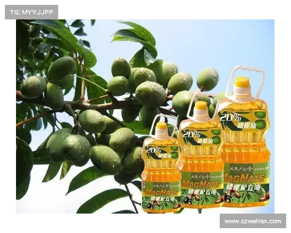 战宠觉醒的关键解析与实现路径探索之全方位指南 战宠觉醒的关键解析与实现路径探索之全方位指南