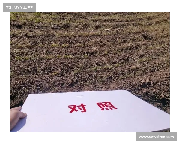 如何提升小麦国家队整体表现和竞技水平的有效策略分析